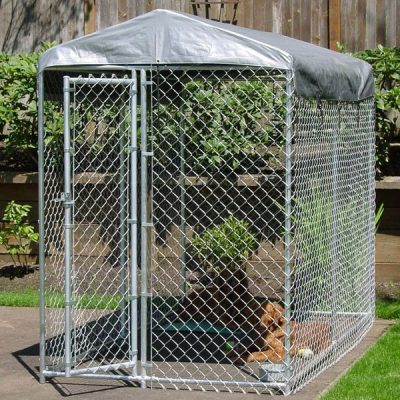 Chain Link Dog Kennel - Best Security Fence Manufacturer