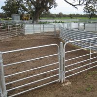 Sheep/Goat Panels - Best Security Fence Manufacturer